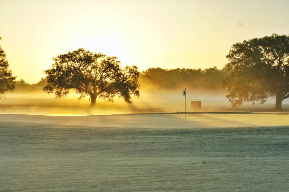 Course greens