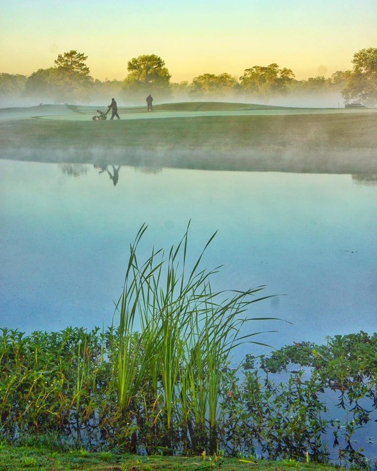 Course greens