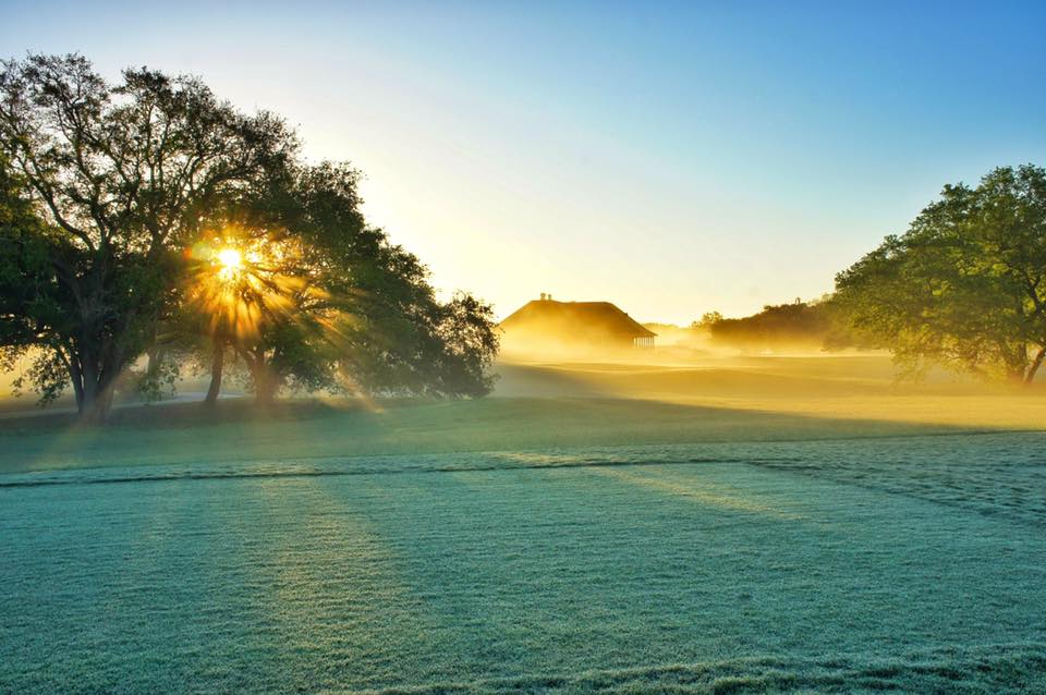 Course greens