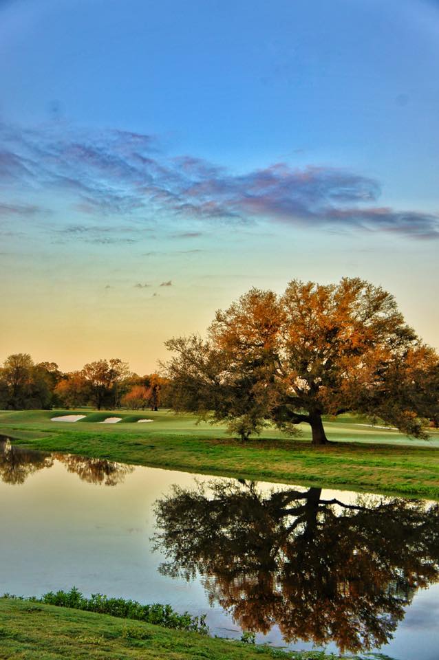 Course greens