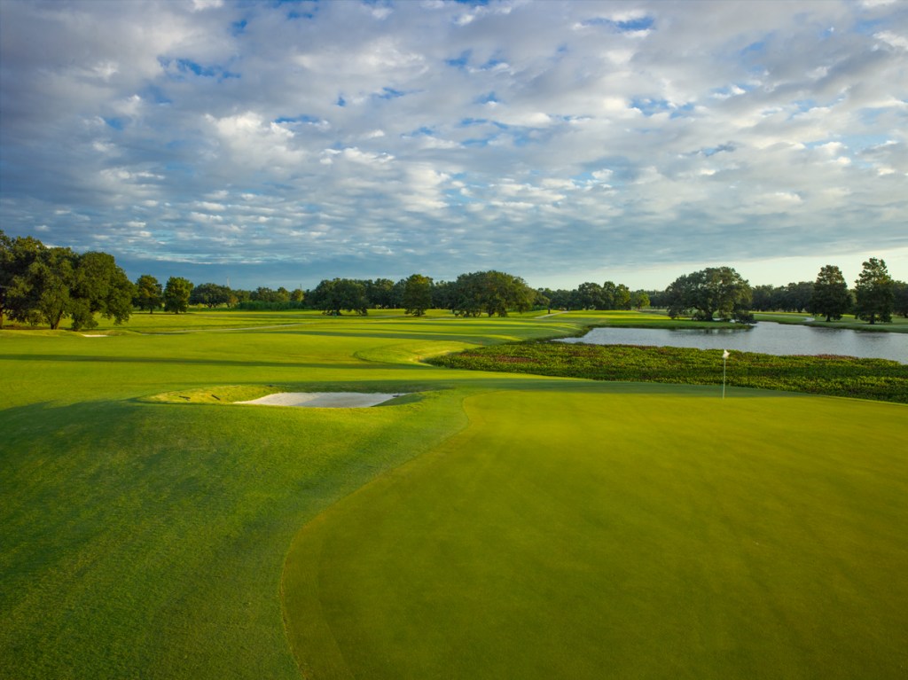 full size image of golf course green